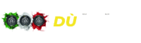 du-gomme-logo