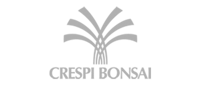 portfolio icon crespibonsai