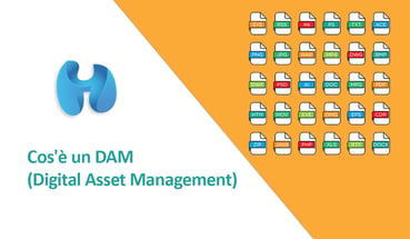 Cos'è un DAM (Digital Asset Management)