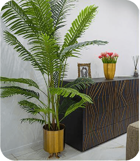 Immagine1-casostudio-gloriastore