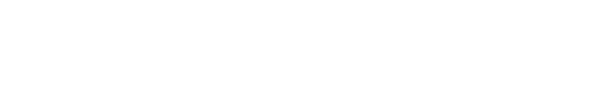 payplug logo bianco