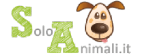 SoloAnimali